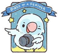 B.O.A.F Club